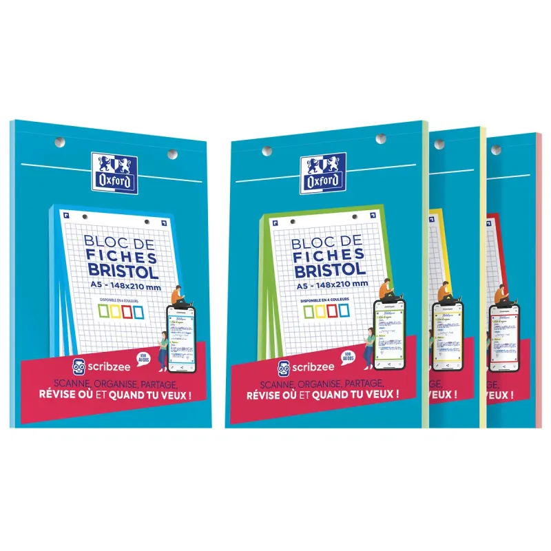 BLOC BRISTOL OXFORD 148X210 30 FICHES PERFOREES Q5 COUL ASSORTI