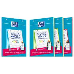 BLOC DE FICHES BRISTOL OXFORD 125X200 30 FICHES PERFOREES Q5/5 COULEURS ASSORTIES