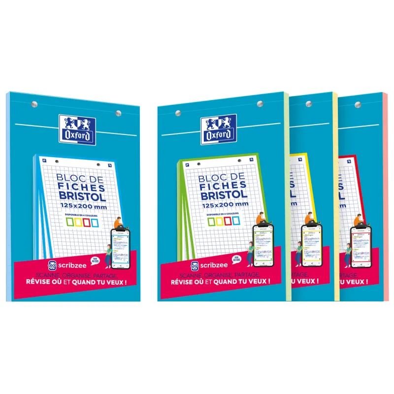 BLOC DE FICHES BRISTOL OXFORD 125X200 30 FICHES PERFOREES Q5/5 COULEURS ASSORTIES