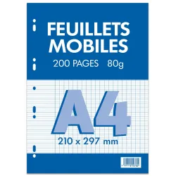 FEUILLETS MOBILES 21X29,7 200P SEYES 80G BLANC