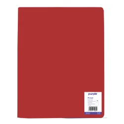 PROTEGE-DOCUMENTS ROUGE 100 VUES