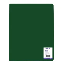PROTEGE-DOCUMENTS VERT 60 VUES