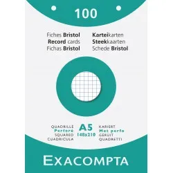 100 FICHES BRISTOL PERFOREES 148X210 5X5 BLANC