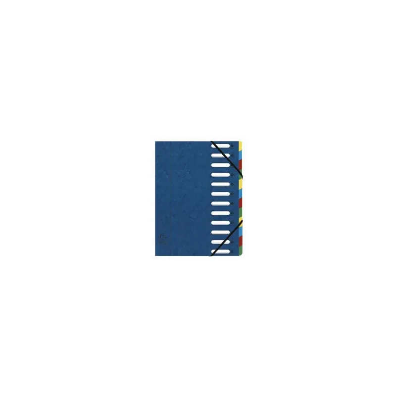 EXACOMPTA TRIEUR A FENETRES CARTE LUSTREE 12 POSITIONS