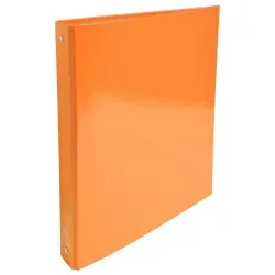 IDERAMA CLASSEUR CARTON PELLICULE 32X26 D40 COLORIS ASSORTIS