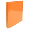 IDERAMA CLASSEUR CARTON PELLICULE 32X26 D40 COLORIS ASSORTIS