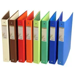 FOREVER CLASSEUR CARTON RECYCLE 32X26 D40 COLORIS ASSORTIS