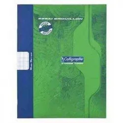 CAHIER BROUILLON RECYCLE 17X22 48P SEYES 56G PIQURE