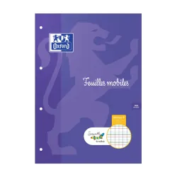 FM SERPODILE PERF A4 100P L2MM AVEC MARGE NIVEAU 5